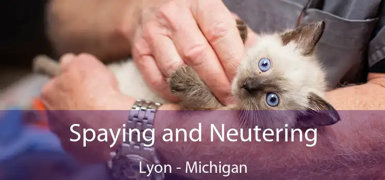 Spaying and Neutering Lyon - Michigan