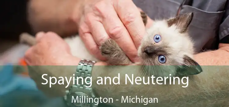 Spaying and Neutering Millington - Michigan