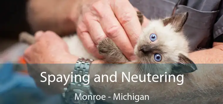 Spaying and Neutering Monroe - Michigan