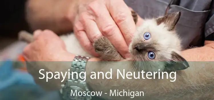 Spaying and Neutering Moscow - Michigan