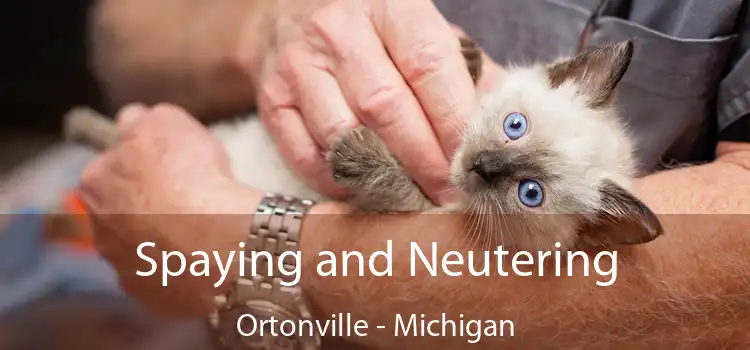 Spaying and Neutering Ortonville - Michigan