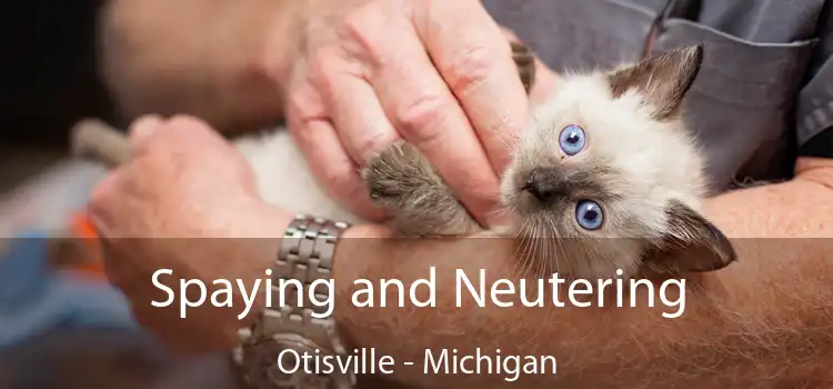 Spaying and Neutering Otisville - Michigan