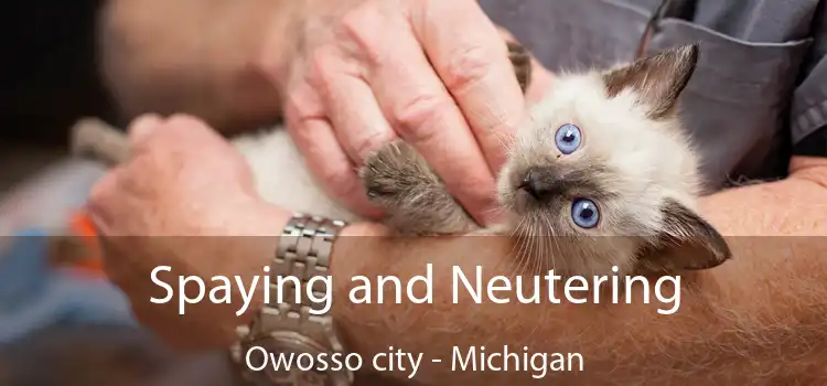 Spaying and Neutering Owosso city - Michigan