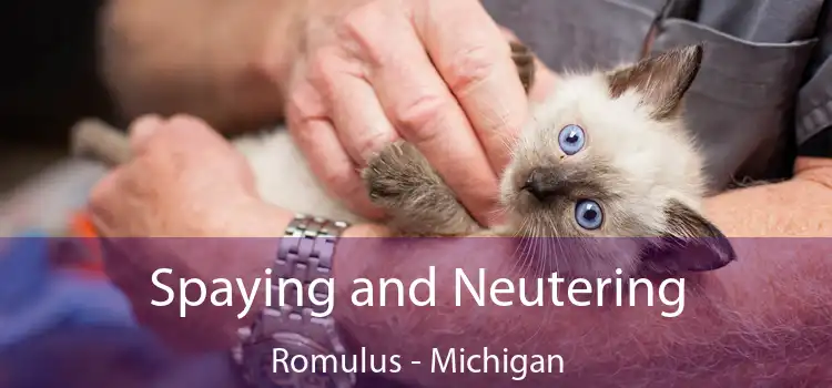 Spaying and Neutering Romulus - Michigan