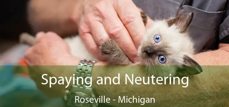 Spaying and Neutering Roseville - Michigan