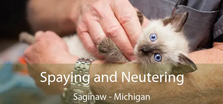 Spaying and Neutering Saginaw - Michigan