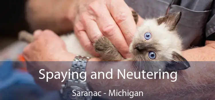 Spaying and Neutering Saranac - Michigan