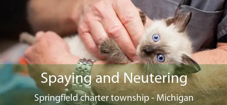 Spaying and Neutering Springfield charter township - Michigan