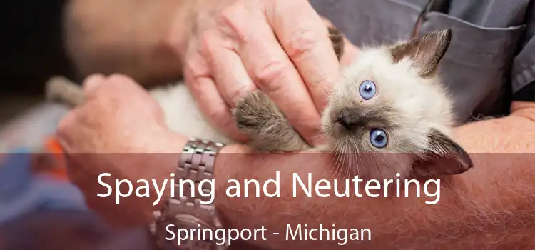 Spaying and Neutering Springport - Michigan