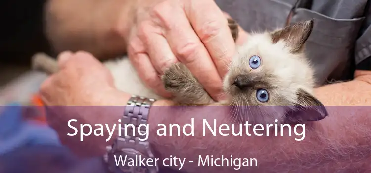 Spaying and Neutering Walker city - Michigan