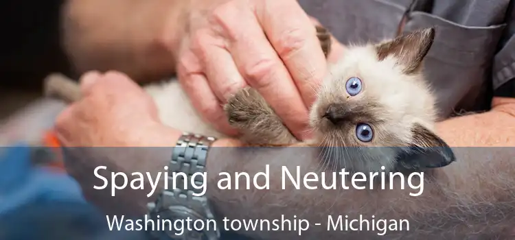 Spaying and Neutering Washington township - Michigan