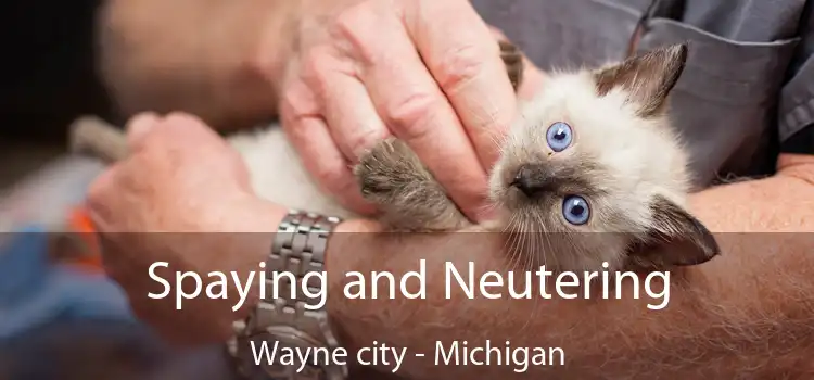 Spaying and Neutering Wayne city - Michigan