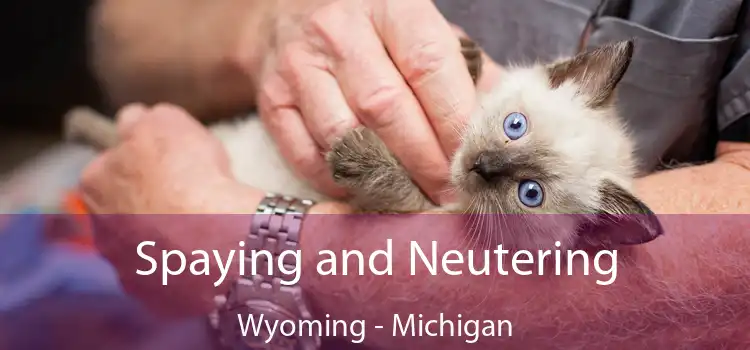 Spaying and Neutering Wyoming - Michigan