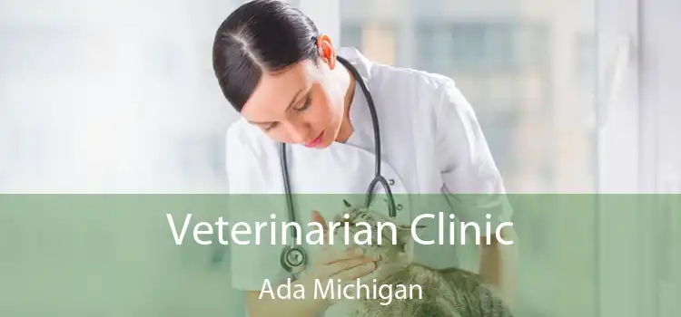 Veterinarian Clinic Ada Michigan