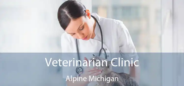 Veterinarian Clinic Alpine Michigan