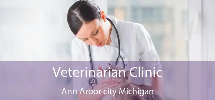 Veterinarian Clinic Ann Arbor city Michigan