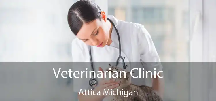 Veterinarian Clinic Attica Michigan