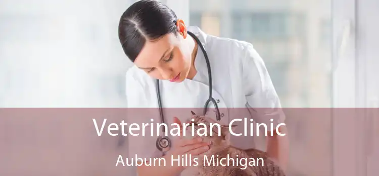 Veterinarian Clinic Auburn Hills Michigan