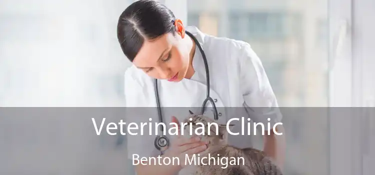 Veterinarian Clinic Benton Michigan