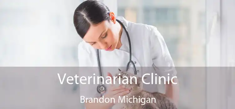 Veterinarian Clinic Brandon Michigan