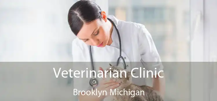 Veterinarian Clinic Brooklyn Michigan