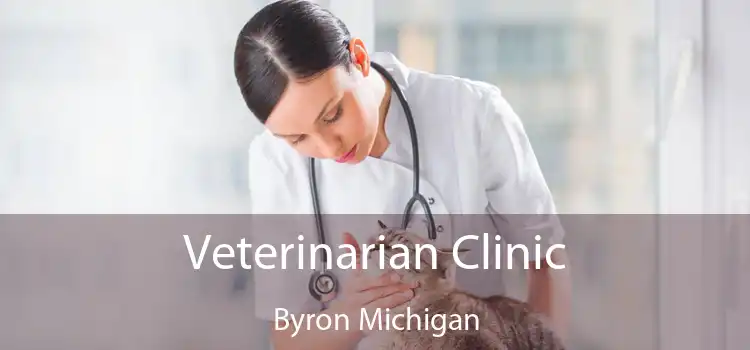 Veterinarian Clinic Byron Michigan