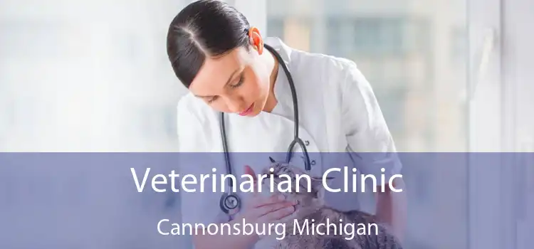 Veterinarian Clinic Cannonsburg Michigan