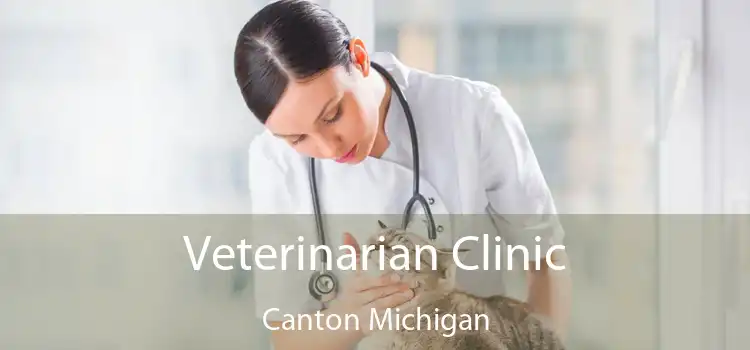 Veterinarian Clinic Canton Michigan