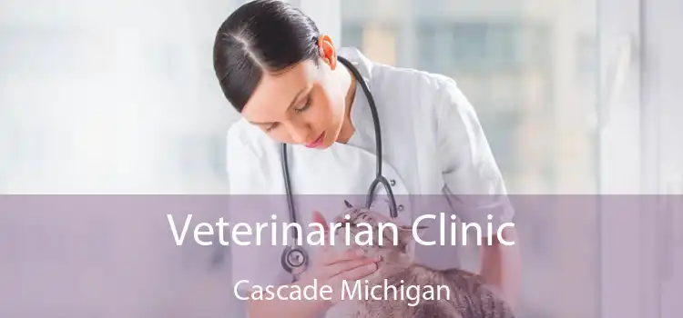 Veterinarian Clinic Cascade Michigan