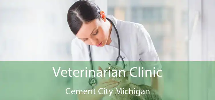 Veterinarian Clinic Cement City Michigan