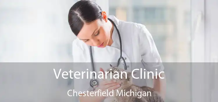 Veterinarian Clinic Chesterfield Michigan