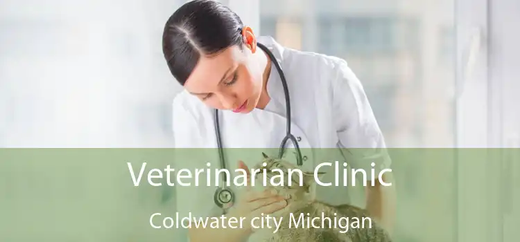 Veterinarian Clinic Coldwater city Michigan