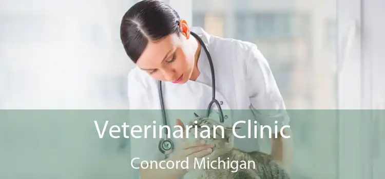 Veterinarian Clinic Concord Michigan