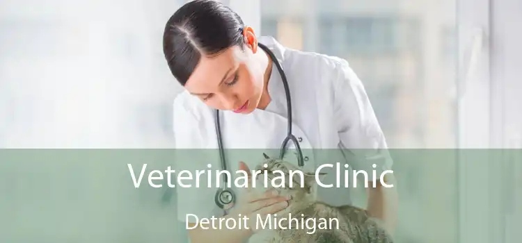 Veterinarian Clinic Detroit Michigan