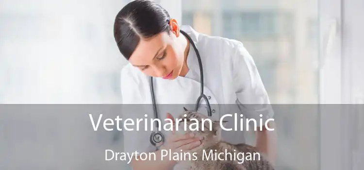 Veterinarian Clinic Drayton Plains Michigan