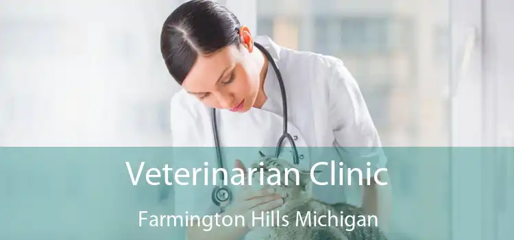 Veterinarian Clinic Farmington Hills Michigan