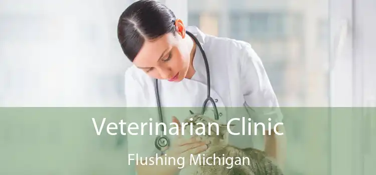 Veterinarian Clinic Flushing Michigan