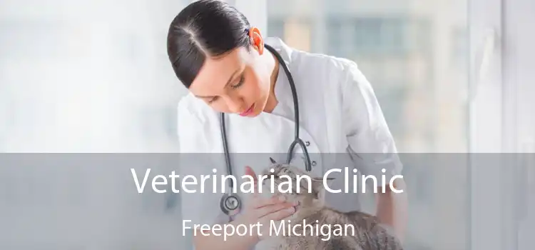 Veterinarian Clinic Freeport Michigan