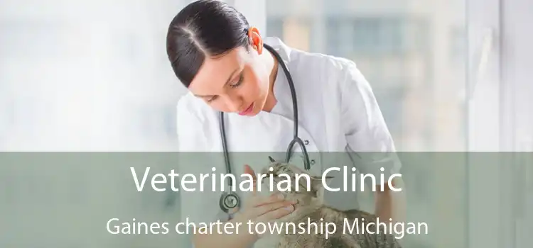 Veterinarian Clinic Gaines charter township Michigan