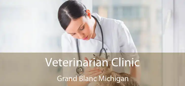 Veterinarian Clinic Grand Blanc Michigan