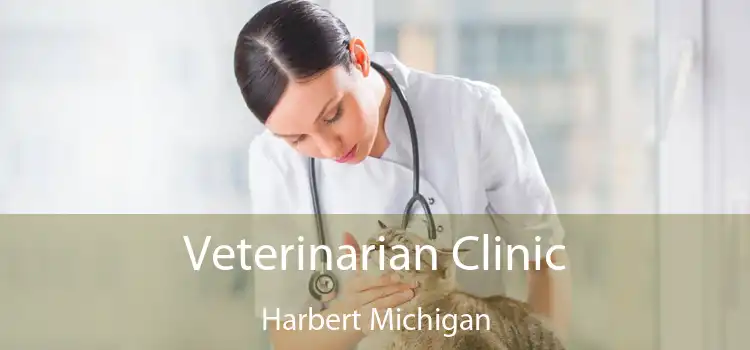 Veterinarian Clinic Harbert Michigan