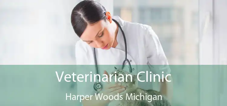 Veterinarian Clinic Harper Woods Michigan