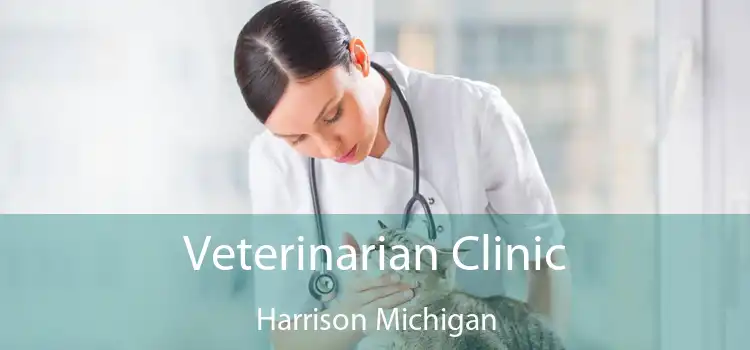 Veterinarian Clinic Harrison Michigan