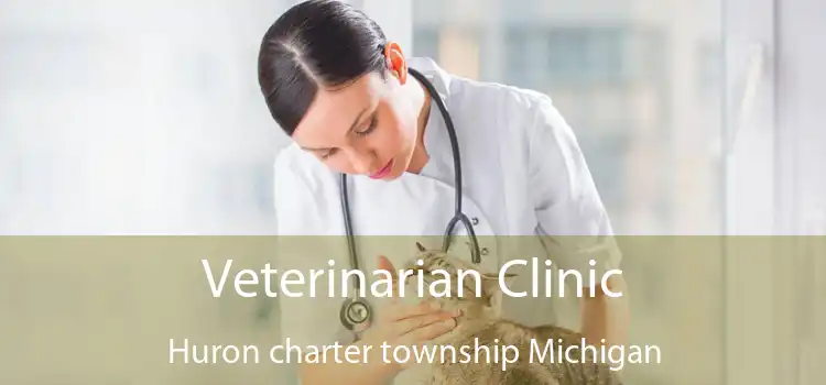 Veterinarian Clinic Huron charter township Michigan