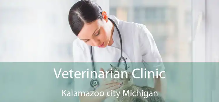 Veterinarian Clinic Kalamazoo city Michigan