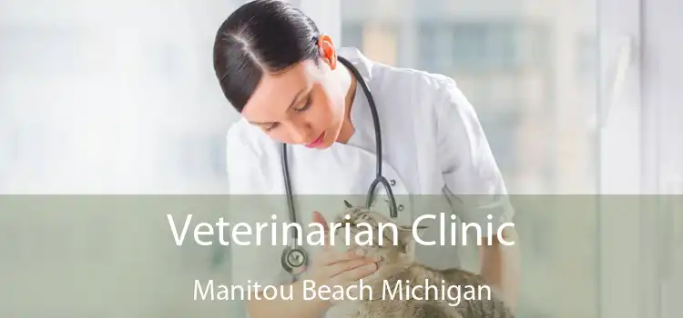 Veterinarian Clinic Manitou Beach Michigan