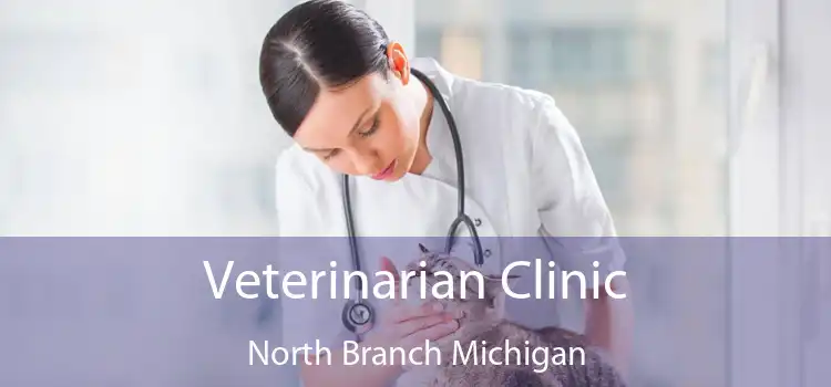 Veterinarian Clinic North Branch Michigan