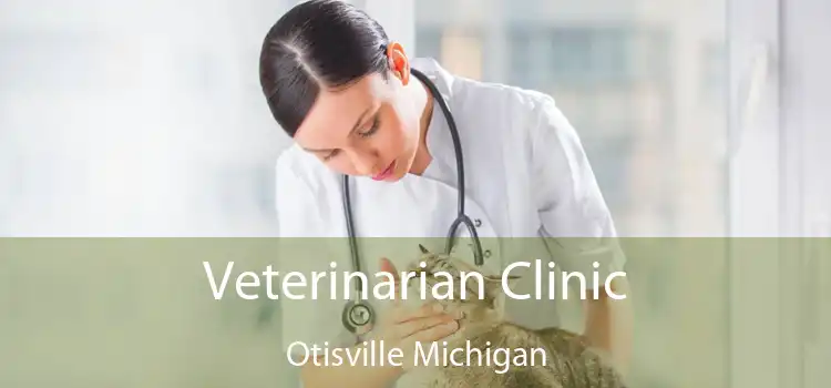 Veterinarian Clinic Otisville Michigan