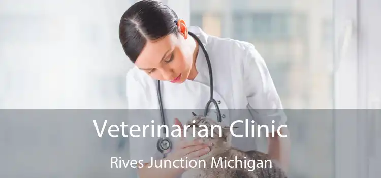 Veterinarian Clinic Rives Junction Michigan