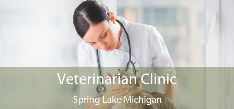 Veterinarian Clinic Spring Lake Michigan